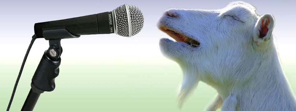 O meme das cabras cantoras