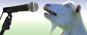 O meme das cabras cantoras